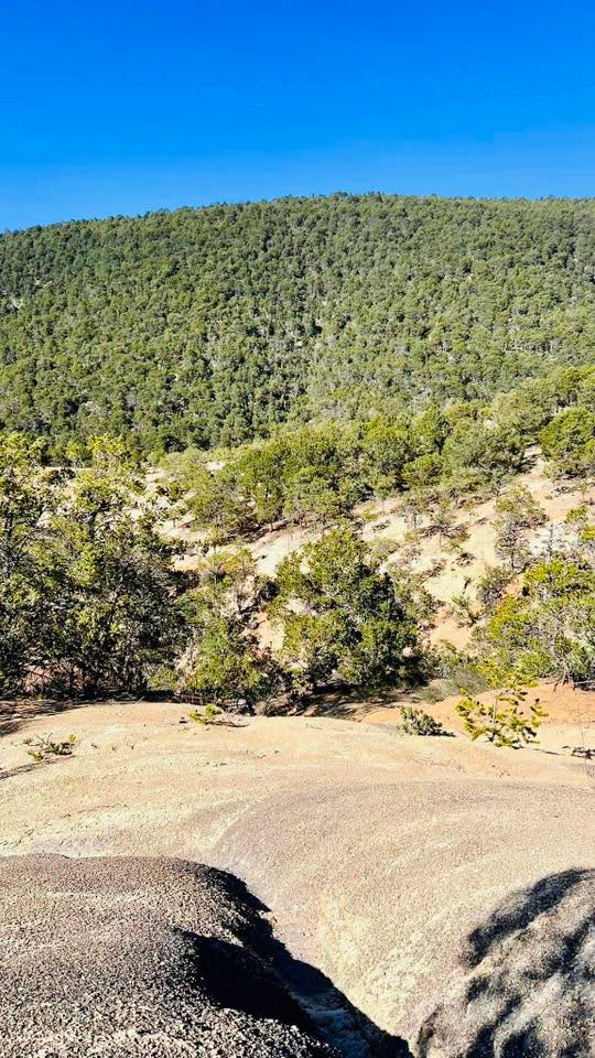 Terreno de 10 hectáreas en Arteaga, Coahuila — fotografía 4