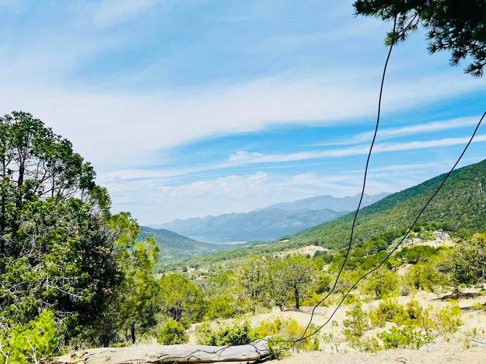 Terreno de 10 hectáreas en Arteaga, Coahuila — fotografía 5