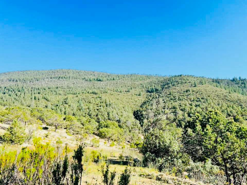 Terreno de 10 hectáreas en Arteaga, Coahuila — fotografía 7