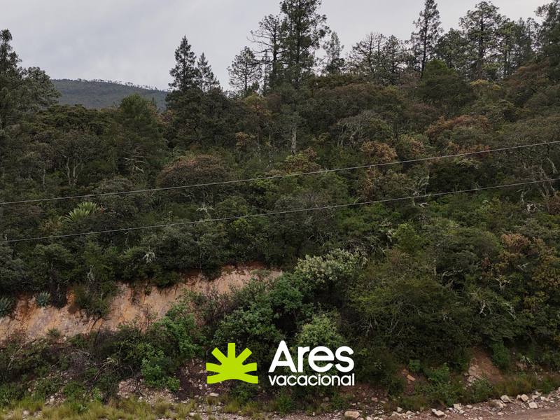 Lote panorámico en Bosques de Monterreal — fotografía 2