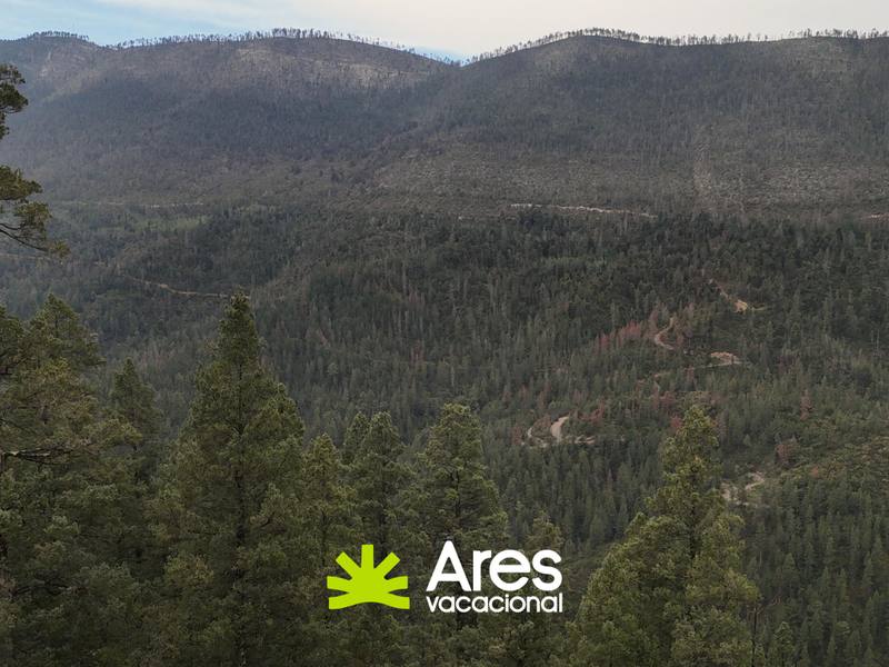 Lote panorámico en Bosques de Monterreal — fotografía 4