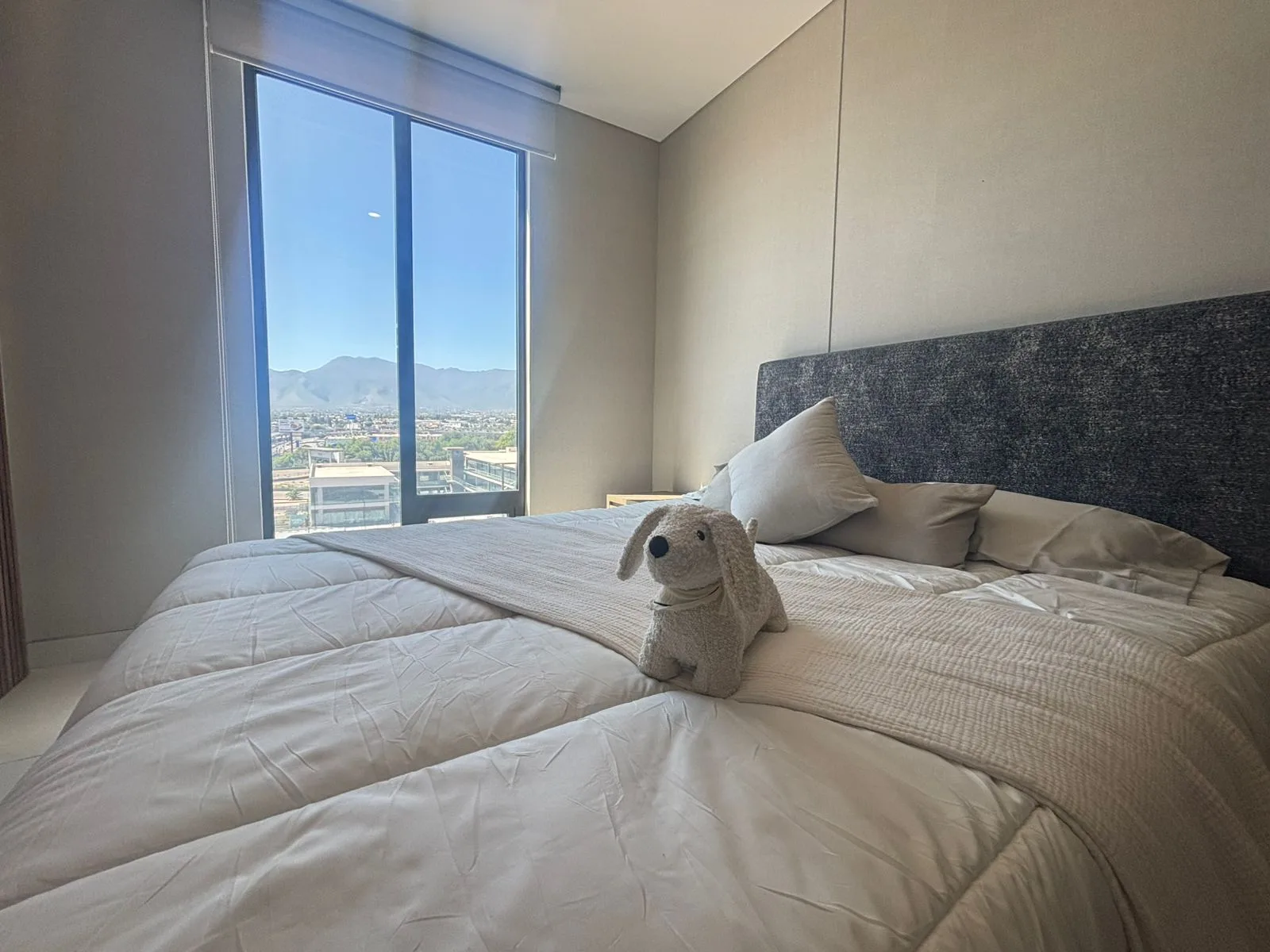 Departamento en Venta Torre VITA - VOEL Alto Distrito, foto 8