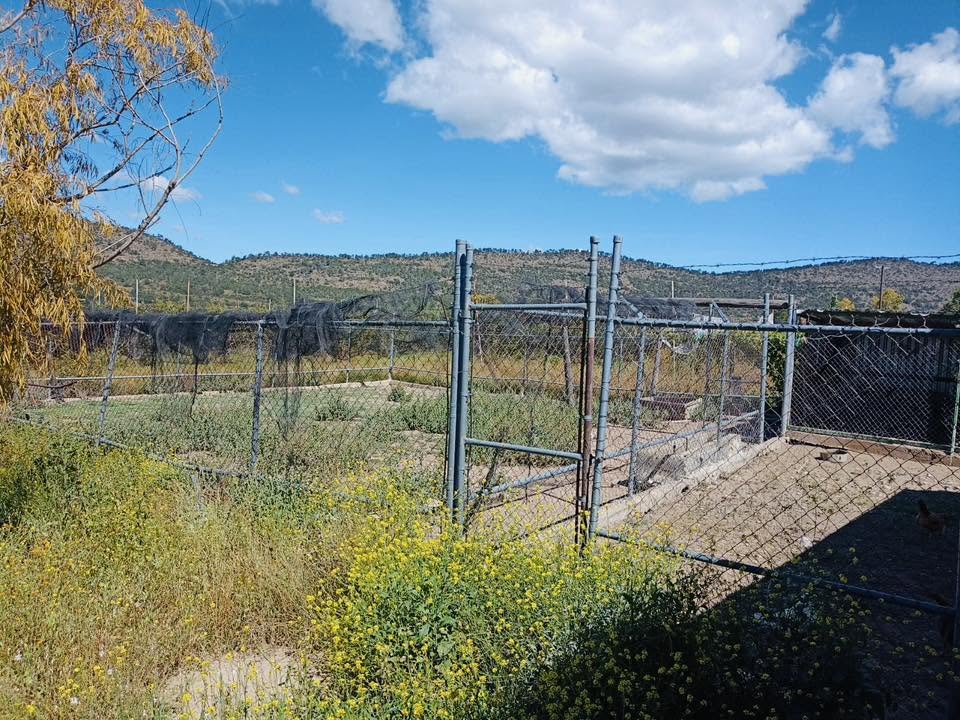 Terreno campestre en Jamé, Arteaga — fotografía 12