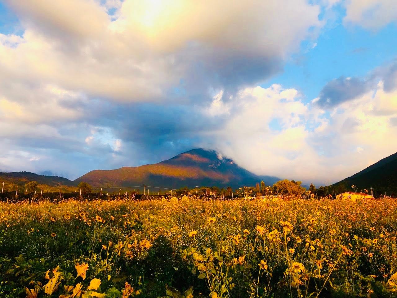 Terreno campestre en Jamé, Arteaga — fotografía 13
