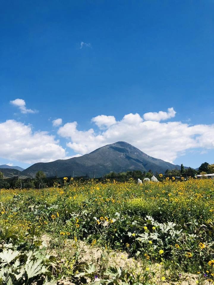 Terreno campestre en Jamé, Arteaga — fotografía 3