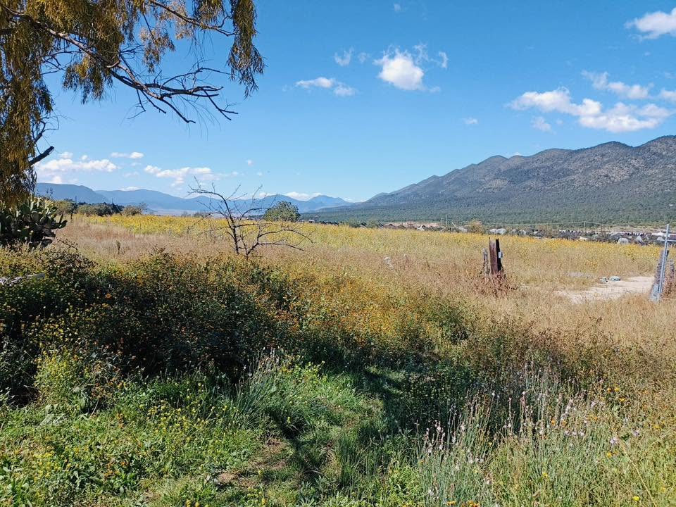 Terreno campestre en Jamé, Arteaga — fotografía 4