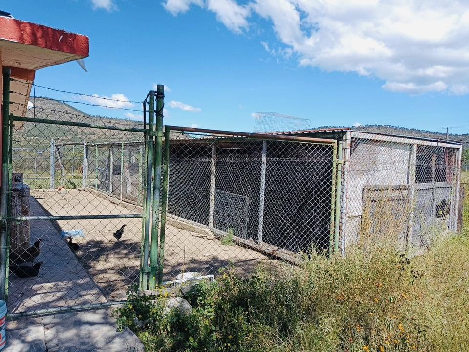 Terreno campestre en Jamé, Arteaga — fotografía 7