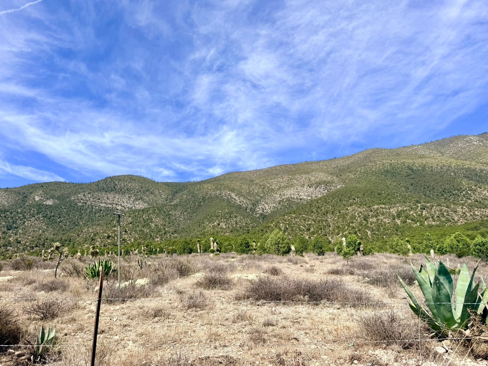 Terreno Campestre en Venta cerca del Pueblo de San Antonio de las Alazanas — fotografía 2