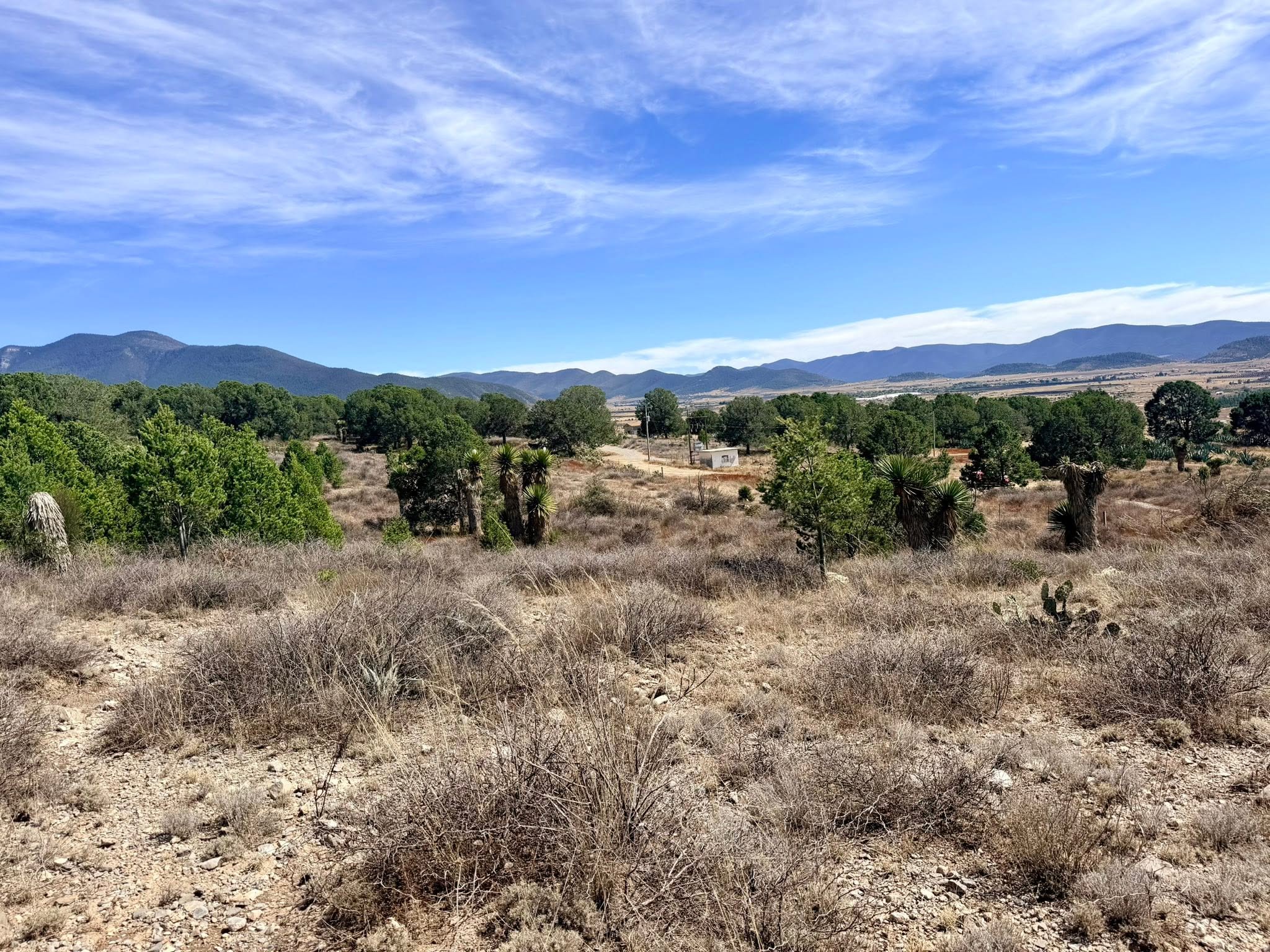 Terreno Campestre en Venta cerca del Pueblo de San Antonio de las Alazanas — fotografía 3