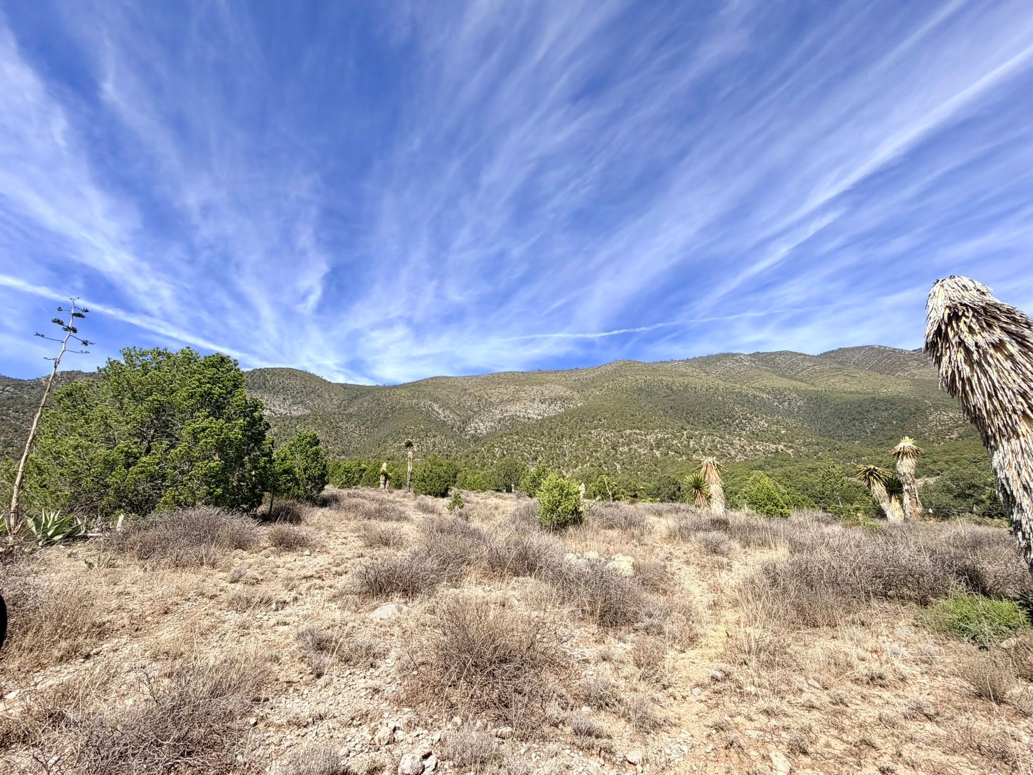 Terreno Campestre en Venta cerca del Pueblo de San Antonio de las Alazanas — fotografía 4