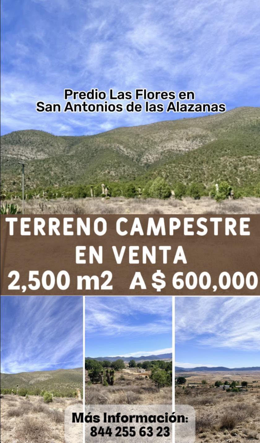 Terreno Campestre en Venta cerca del Pueblo de San Antonio de las Alazanas — fotografía 5